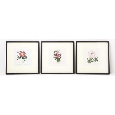 HOMESCAPES Wall Decoration Set of 3 Frames with Picture, Peonies