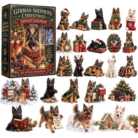 Calendrier de l'Avent 2026 Animaux – 24 jours Acrylique – Cadeau pour enfant pour sapin de Noël (K) (1/4)