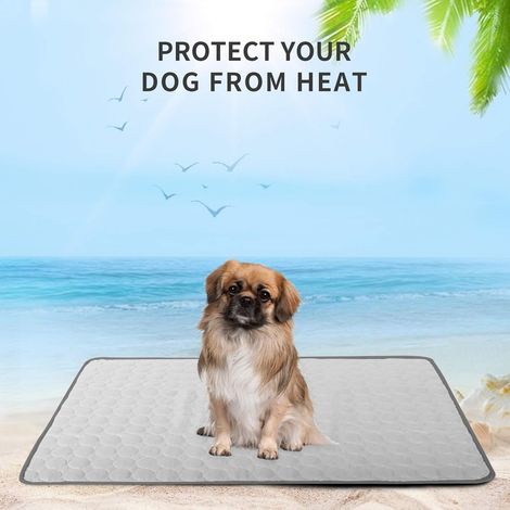 Tapis Rafraîchissant Pour Chien Et Chat - Matelas Refroidissant Auto-Actif - Usage Intérieur Et Voyage - Taille M (1/4)