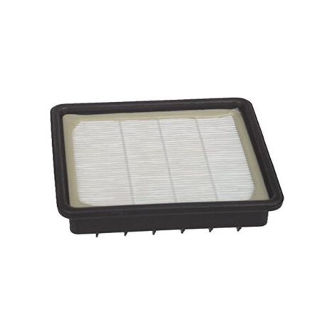filtre hepa moteur s89 - 35600772 - 8016361777699 (1/5)