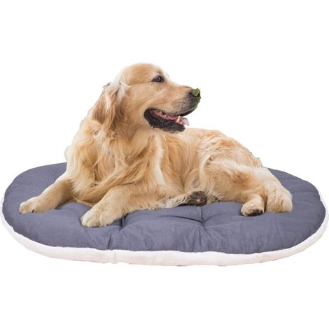 Panier Chien Coussin pour Chiens Grands, Lavable, Tapis pour Niches et Voitures, en Coton avec Rembourrage Doux, 100 x 63 cm, Beige (1/5)