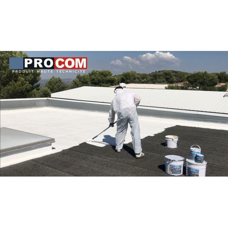 Procom – Peinture pour toiture – Résine d'étanchéité – Réparation fissures et tuiles – Résistant aux intempéries – 10 litres