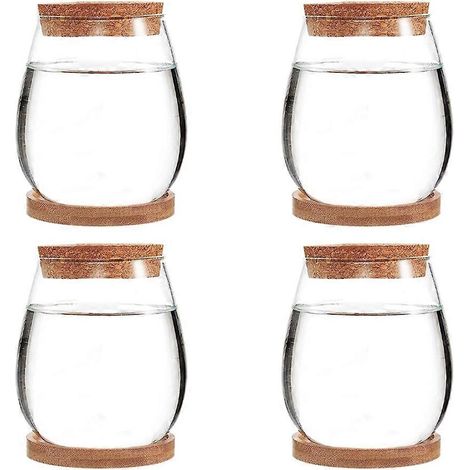 Mini terrarium transparent en verre, vase sans terre pour plantes vertes, décoration de jardin, salon ou table. (1/5)