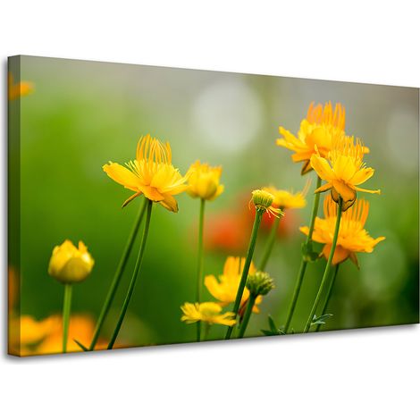 Stampa su tela Botanica Fiori gialli 100x60 cm