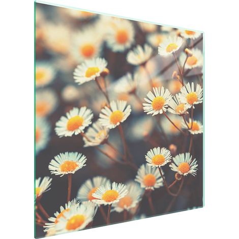 Protezione in vetro per piano cottura 50x52 cm con motivo floreale (1/5)