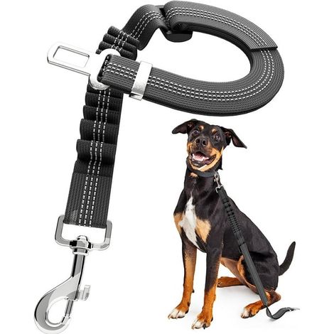 Harnais de sécurité auto pour chien, ceinture de voiture réglable 51-63cm, harnais canin avec élastique et mousqueton rotatif, équipement de voyage pour chien (1/5)
