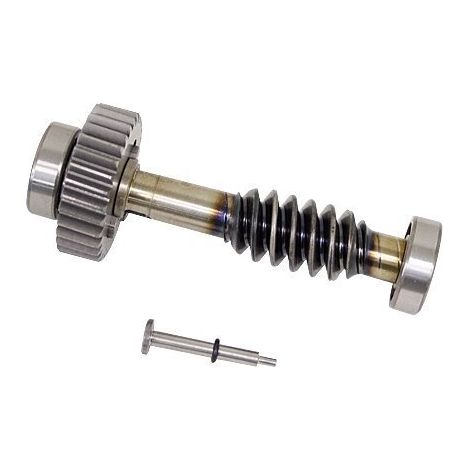 CAME ricambio 119RID228  gruppo seconda riduzione corona e vite senza fine - FAST
