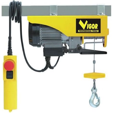 Palans électriques Vigor Art.125 Max-Kg.250