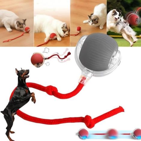 balle interactive à rouler pour chiens, jouet électrique interactif pour chats, balle automatique pour chien (1/4)