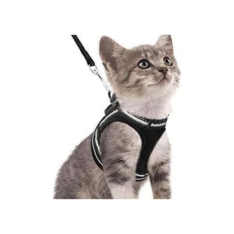 Harnais pour chat avec laisse, harnais respirant pour chaton avec bandes réfléchissantes, gilet noir ajustable, facile à enfiler (1/4)