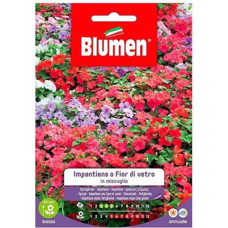 Impatiens-Samen oder Glasblumen in Mischung (1/2)