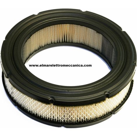 BRIGGS & STRATTON Filtro aria originale Vanguard serie 380700, 381700, 386700. Misure 200 x 140 x 55 mm 692519