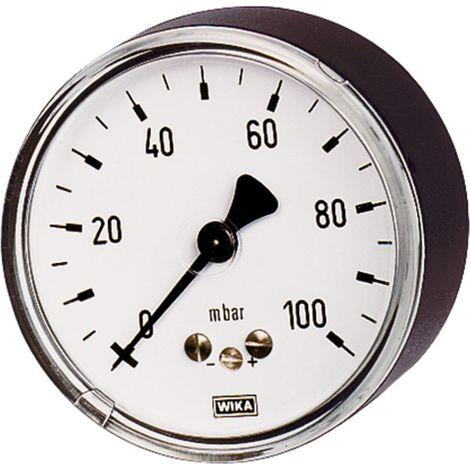 Riegler Kapselfedermanometer, G 1/4 hinten zentrisch, 0 - 250 mbar, Ø 63, 5825 (1/2)