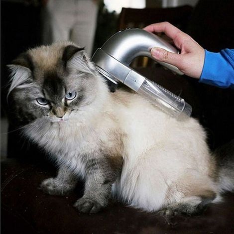 Tierhaar-Staubsauger, tragbarer Staubsauger, elektrisches Haarreinigungsgerät für Hunde und Katzen (1/2)