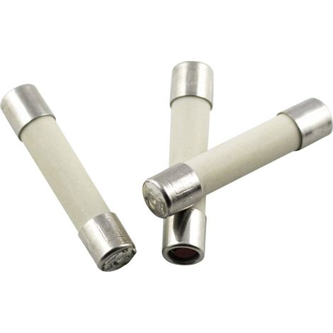 ESKA 528.26 52826 Feinsicherung (Ø x L) 5 mm x 25 mm 8 A 250 V Mittelträge -mT- Inhalt 10 St.