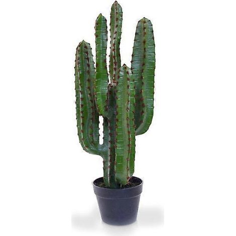 Cactus euphorbe (70 cm) (1/2)