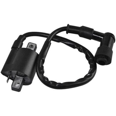 Bobine d’allumage noir Compatible avec Yamaha PW50 PY50 PEEWEE PY PW 50 Dirt Pit Bike Parts (1/4)