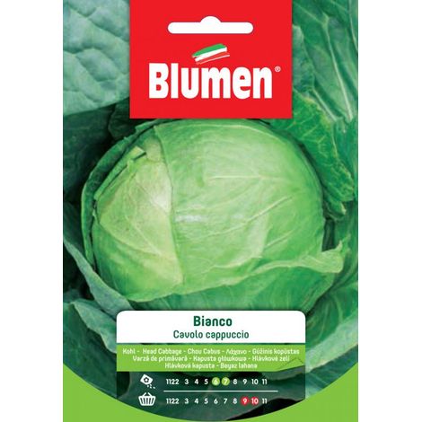 Blumen Semi di Cavolo Cappuccio Bianco