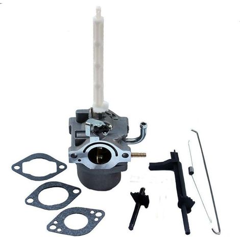Kit de remplacement pour carburateur de tracteur Briggs & Stratton 796122 (1/4)