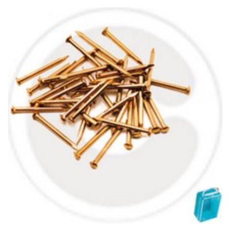 cf 60 gr di punte puntine testa bombata in ottone mm 1,5x18 chiodini semenze