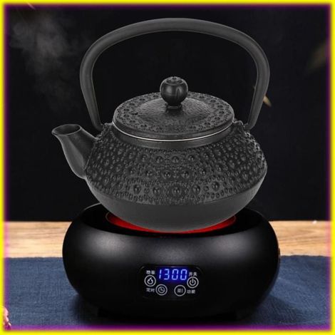 keenso chaudière à thé en fer Théière en Fonte, 0,3 L, Poignée Ergonomique, Poignée Froide, Fleur de Prunier, Goutte linge statue (1/5)