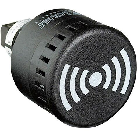 Auer Signalgeräte Ronfleur 813500405 ESM tonalité continue, tonalité à impulsion 12 V/DC, 12 V/AC, 24 V/DC, 24 V/AC 65 (1/2)