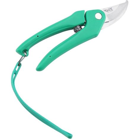 Sécateur de Jardin en Acier Inoxydable pour Taille de Branches et Tiges (1/4)