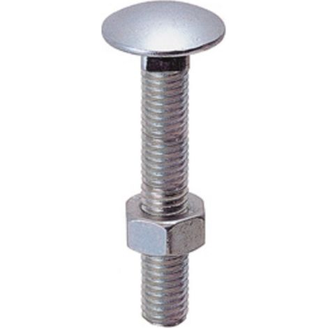 SC BULLONE C/DADO TTDQ 5X 25MM ZINCATO 20 PZ