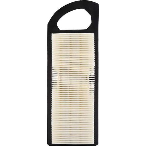 Filtre à air pour moteur thermique Briggs et Stratton 697153 698083 795115 – Dimensions 22.5 x 7.8 x 3.8 cm – Pré-nettoyeur inclus - M149171 (1/4)
