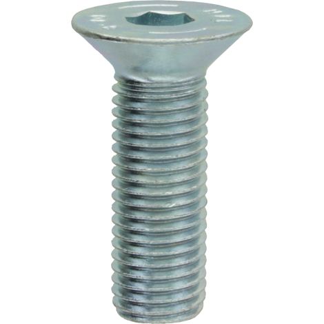 Vite a testa svasata M16x50 in acciaio zincato DIN 7991 ISO 10642 x1 pz. (1/2)