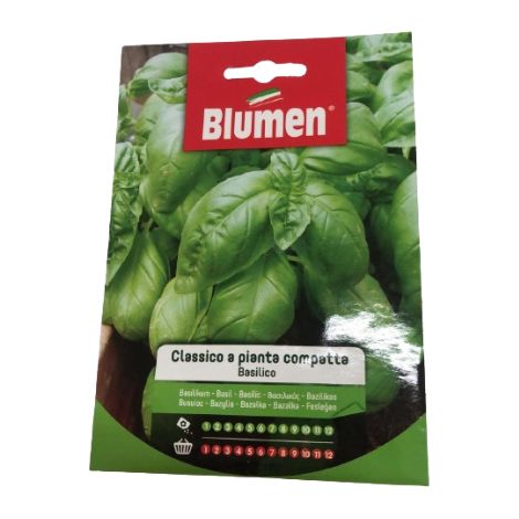SEMI BASILICO CLASSICO A PIANTA COMPATTA