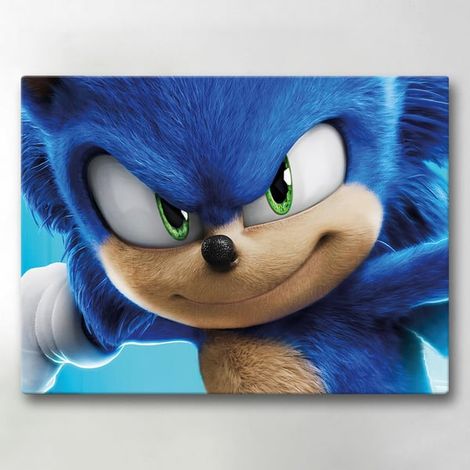 Impression sur toile / Peinture - Sonic le Hérisson - 40 x 30 cm - Toile (1/4)