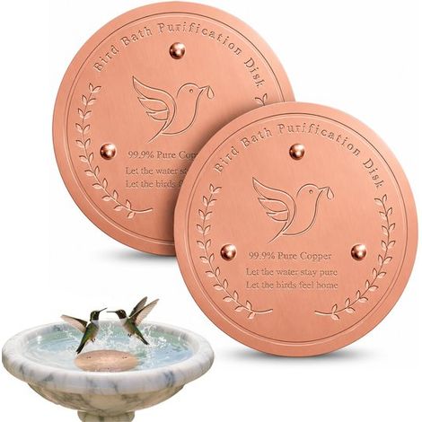Disque en cuivre pour bain d'oiseaux - 2 pièces - 10 cm - Cuivre pur à 99,9 % - Purification naturelle de l'eau (1/5)