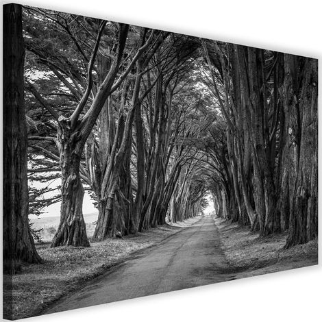 Tableau sur toile Arbres Noir Blanc Parc 60x40 (1/5)