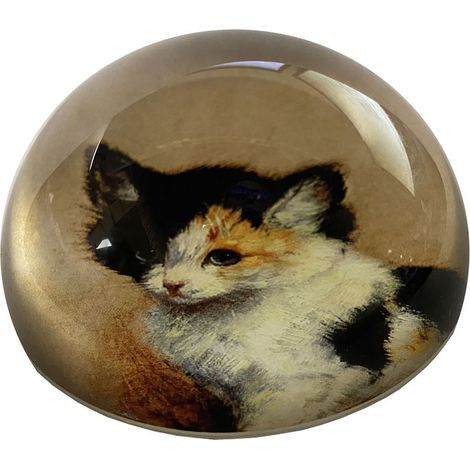 Presse papier Chaton éveillé par RONNER KNIP (1/3)