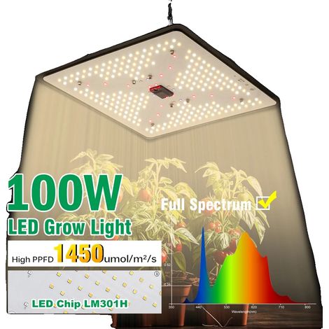 Lampada LED per coltivazione, dimmerabile, a spettro completo (1/5)