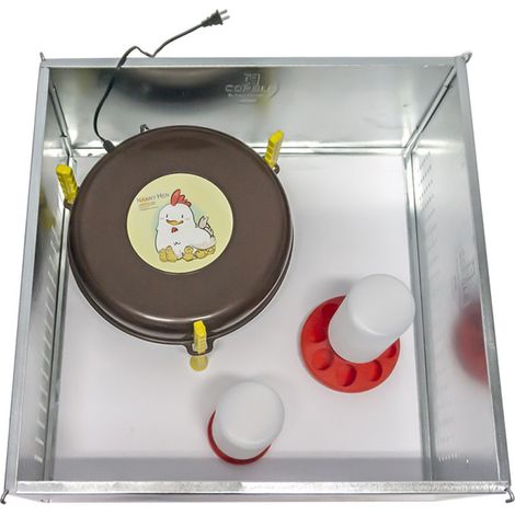 Kit de démarrage pour poussins (première étape) : parc à jeux de 60 x 60 cm, chauffage Nanny Hen 220 V/36 W, mangeoire de 1 kg e (1/5)