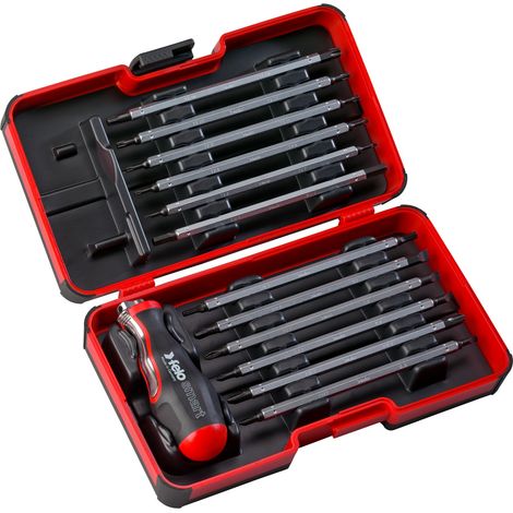 Juego de varillas intercambiables Smart EVO 13-pcs. SL/PH/PZ/TORX®/HEX  Felo 06081306