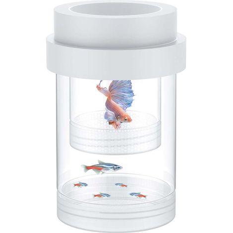 Boîte d'élevage pour aquarium, boîte d'élevage flottante pour guppys, séparateur d'alevins, incubateur en plastique pour crevettes, betta, poisson-clown (moyen) (1/5)
