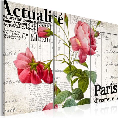 Quadro - Paris directeur - 60x40 (1/4)