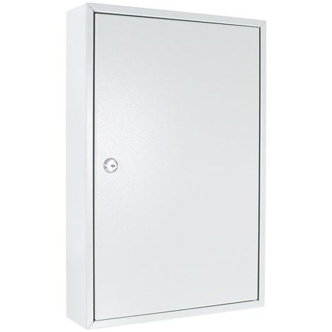 Armoire à clés S 64 H450xL300xP80mm serrure à cylindre 1 porte numéro Hak.64 ROTTNER (1/5)