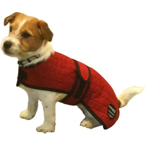 Catago Hundemantel Cooler - rot - 55 cm (1/2)