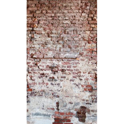 BRICOFLOR Papier Peint The Wall 383351 (1/3)