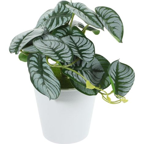 SECFOU Plante artificielle bonsaï en pot , réaliste , décoration de bureau , facile d'entretien , du (1/5)