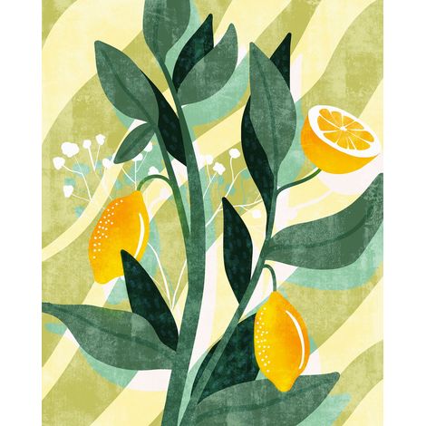 papier peint panoramique fruit vert et jaune  - Komar (1/3)