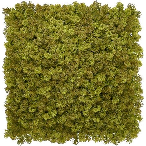 Mur végétal artificiel - Panneau de mousse vert armée - 100x100 cm