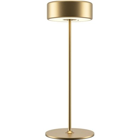 Maytoni AI Collaboration Lampada da tavolo moderna a LED integrata ricaricabile dimmerabile con controllo touch dorato 120lm (1/5)