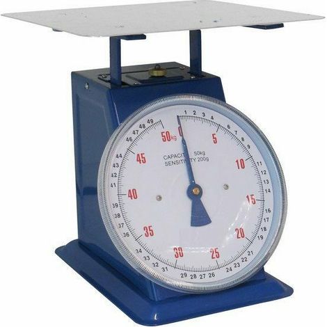 Bilancia a sfera portata 30kg - piatto piano inox - divisione 100gr