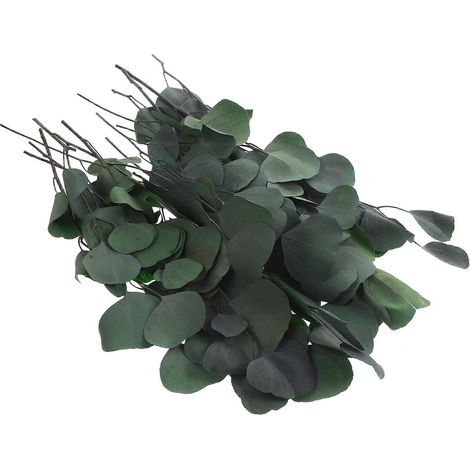 Feuilles d'eucalyptus immortelles compatibles avec la décoration, 1 bouquet, remplissage vert pour vase (1/5)