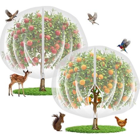 Confezione da 2 reti da giardino a maglia ultrafine 3x3 m per alberi da frutto e uccelli. (1/5)